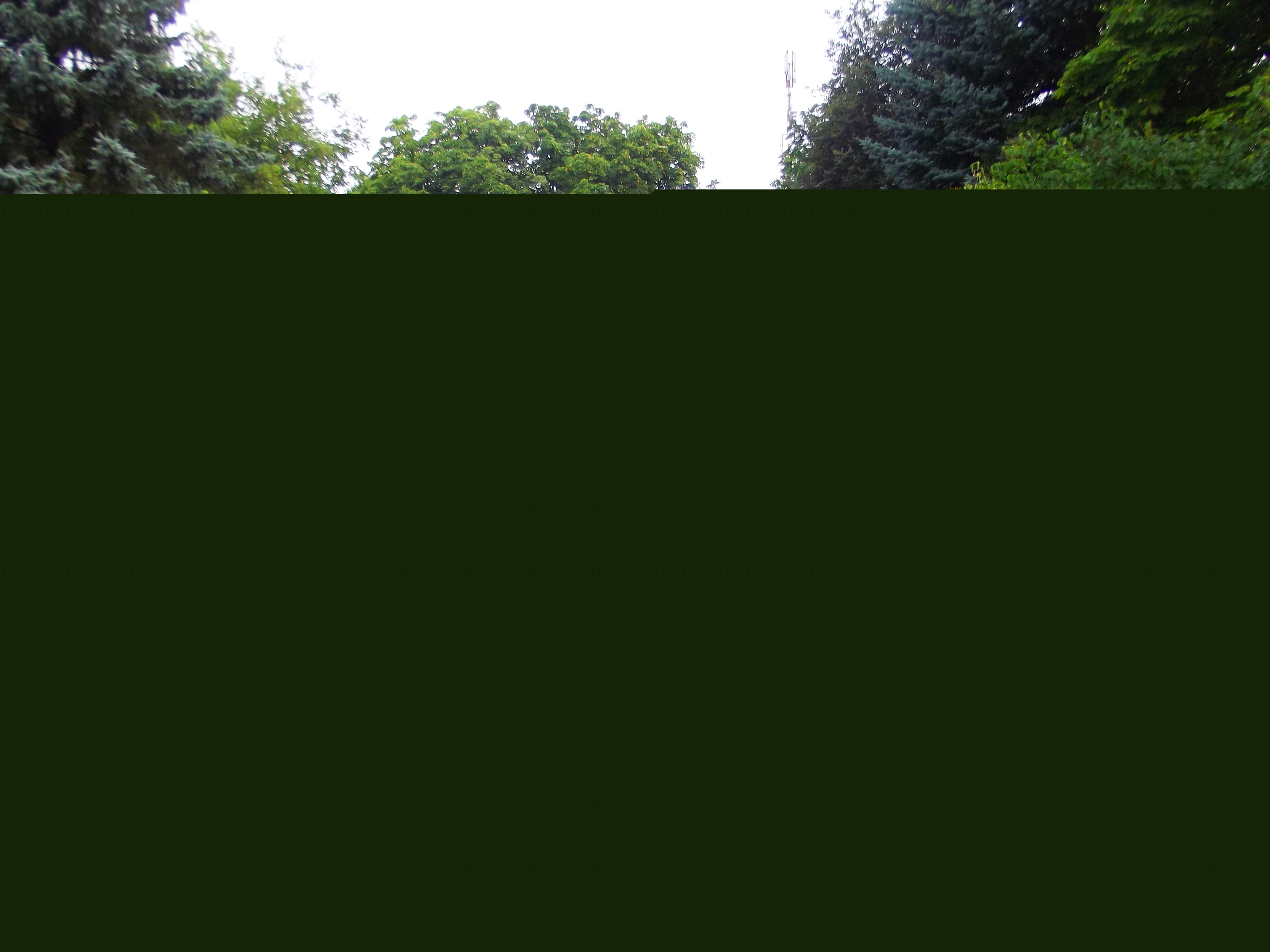 DSCF2362