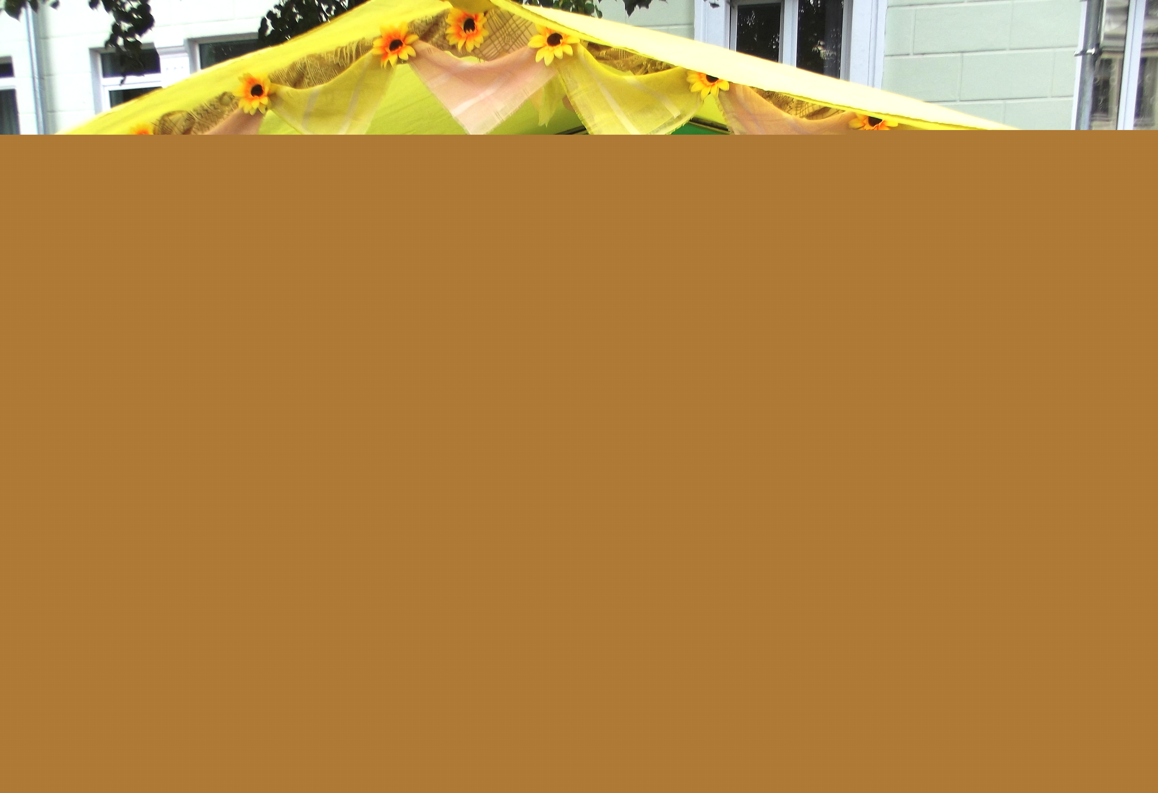 DSCF2370
